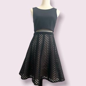 Little Black Dress with Sheer Detailing